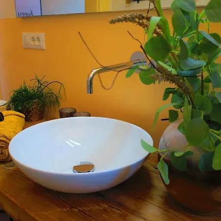 3-zimmer-appartement In Privatvilla, Zentrum, Kostenloser Parkplatz Mit Gaestekarte *