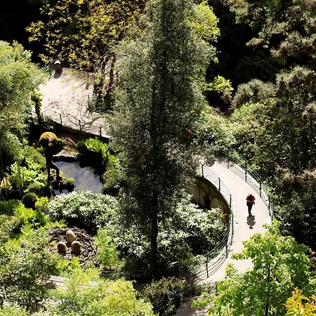 Goldener Herbst In Meran - 