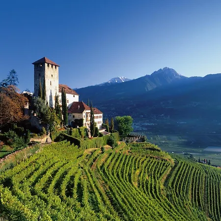Goldener Herbst In Meran - 