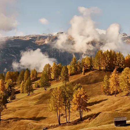 Goldener Herbst In Meran - 