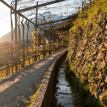 Goldener Herbst In Meran - 
