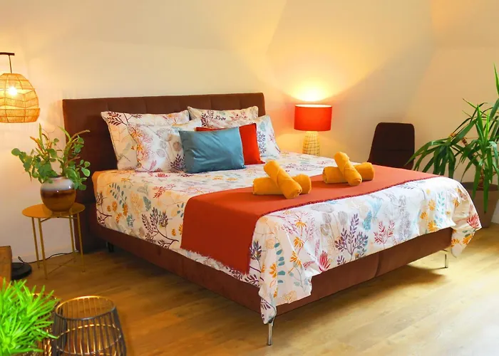 Apartament 3-zimmer-appartement In Privatvilla, Zentrum, Kostenloser Parkplatz, Mit Gaestekarte