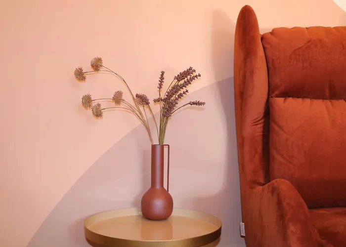 Apartment 3-zimmer-appartement In Privatvilla, Zentrum, Kostenloser Parkplatz Mit Gästekarte *