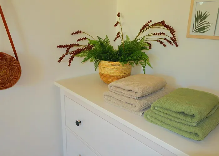 3-zimmer-appartement In Privatvilla, Zentrum, Kostenloser Parkplatz, Mit Gaestekarte Apartament *